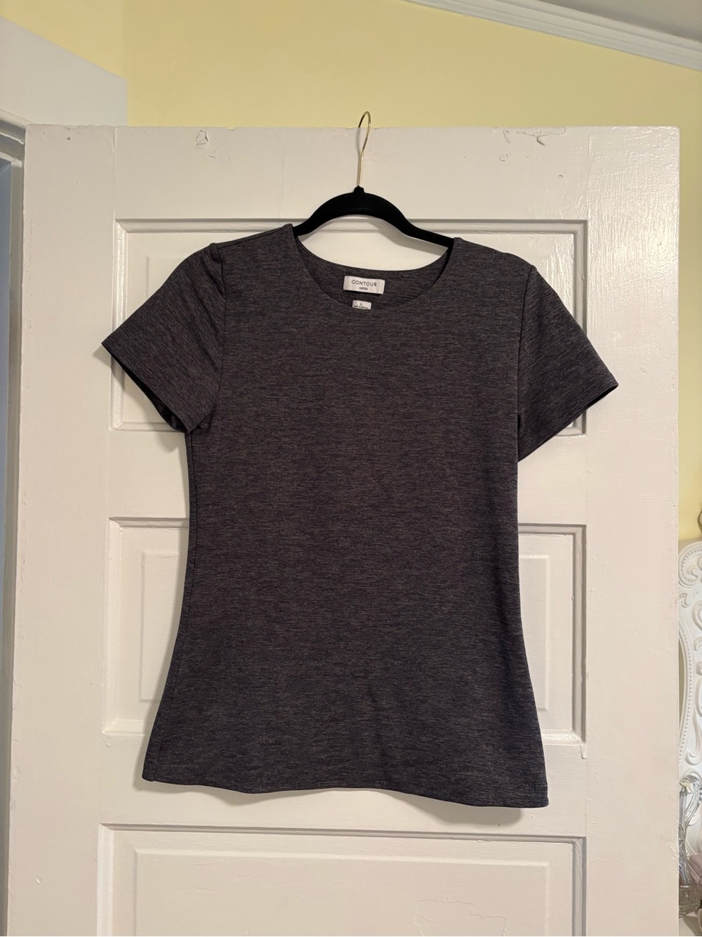 Aritzia Short Sleeve, hip length, gray contour tee shirt